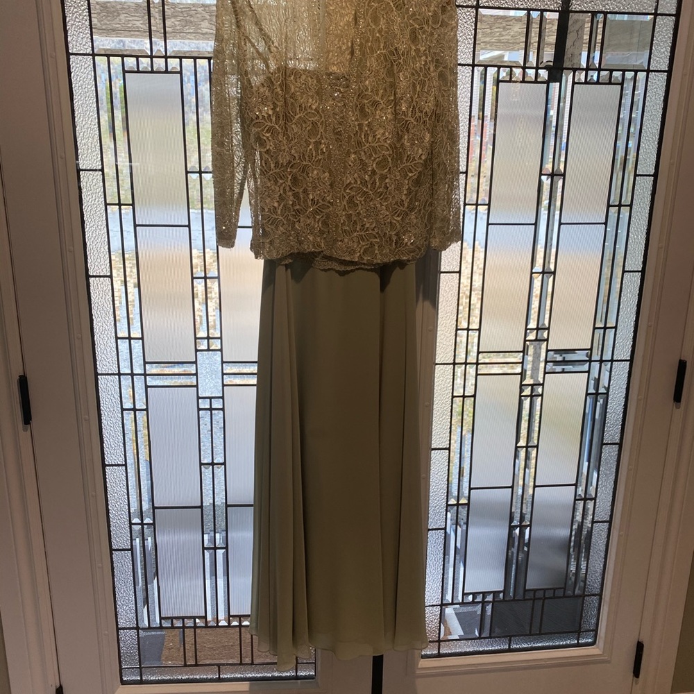 David’s Bridal: Mother of the Bride dress: Size 12 - Picture 3 of 9